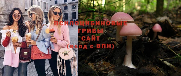гидра Бронницы